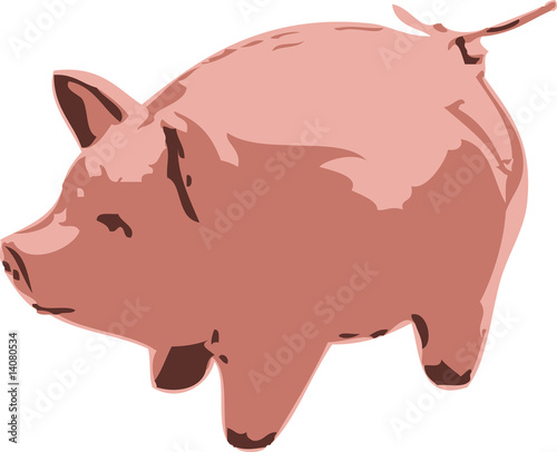 vector cute pig illustration