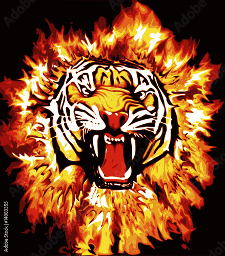 tigre