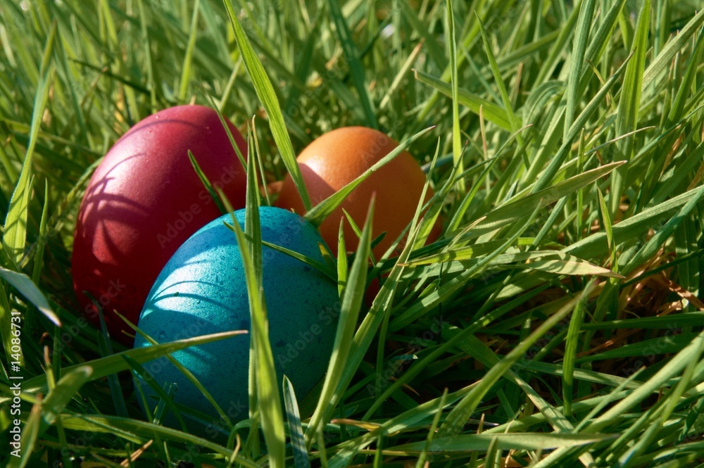 Ostereier im Gras