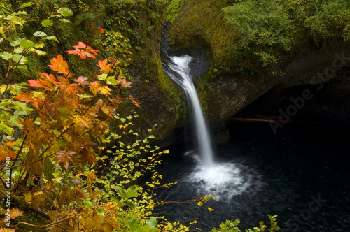 Autumn at Punchbowl Falls