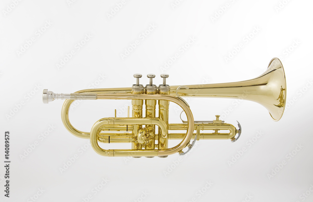 Obraz premium Cornet on White