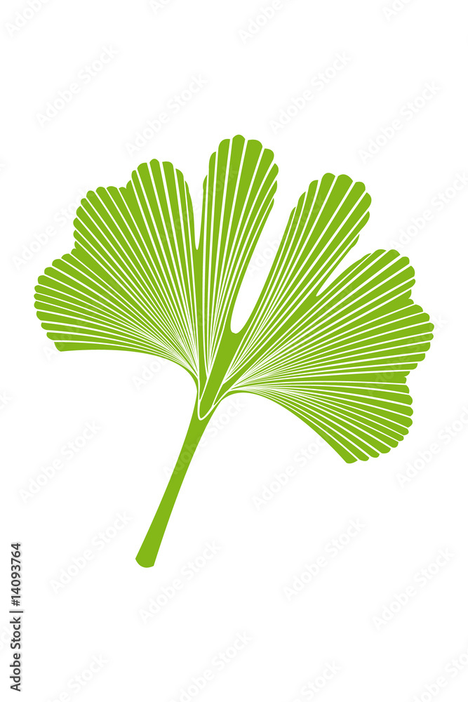 Ginkgo Blatt Wandaufkleber - Abnehmbare Baumblatt Deko 30x90cm