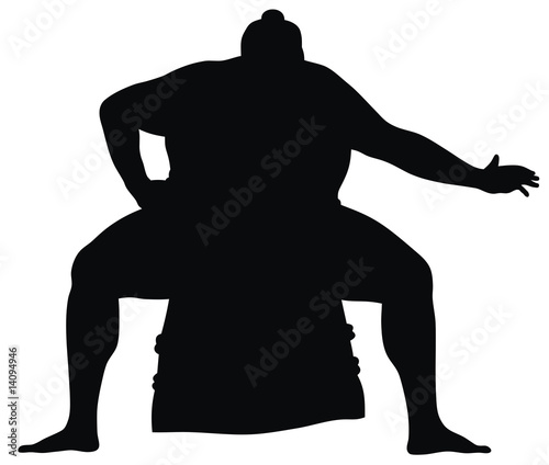 Obraz na plátně Sumo wrestler
