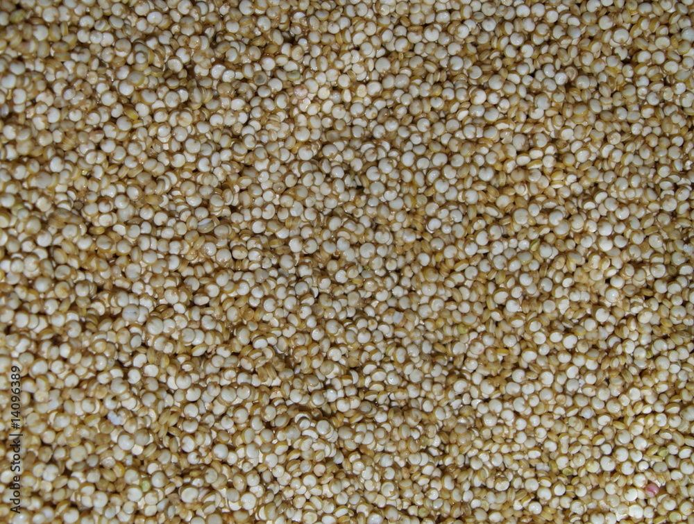 quinoa quinoa
