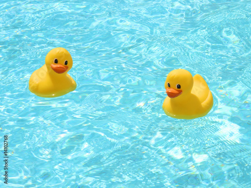 rubber ducks in the pool