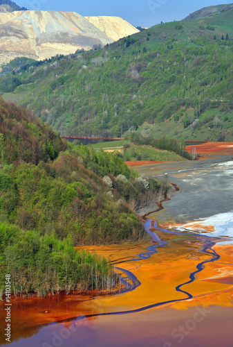 Quadro em tela Water pollution
