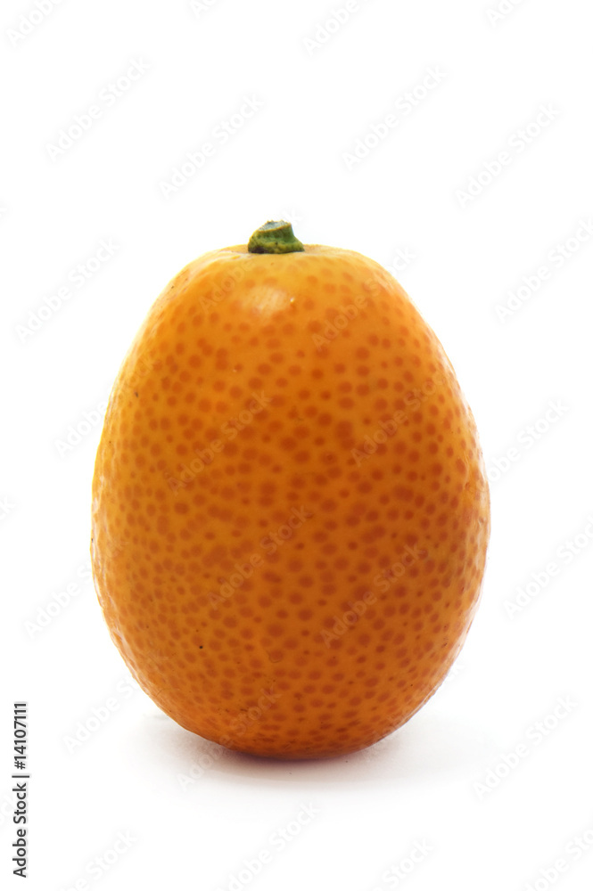 kumquat kumquat