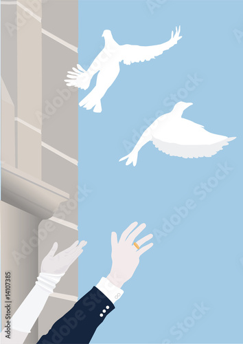Hochzeit - Taubenflug