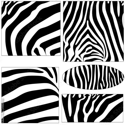 righe zebra
