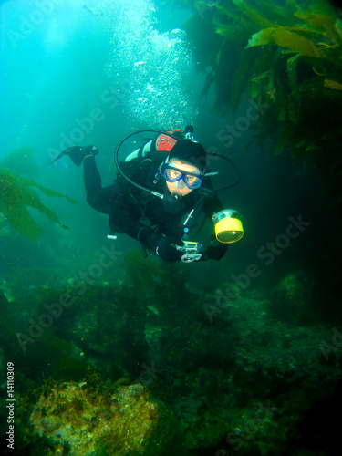 Female Scuba Diver swimming through the Kelp in Catalina