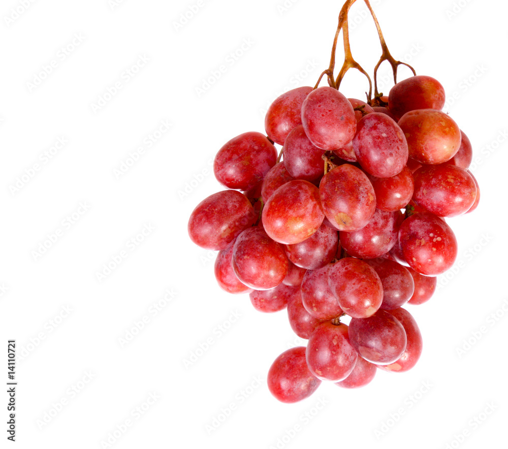 Fototapeta premium Grapes isolated on white
