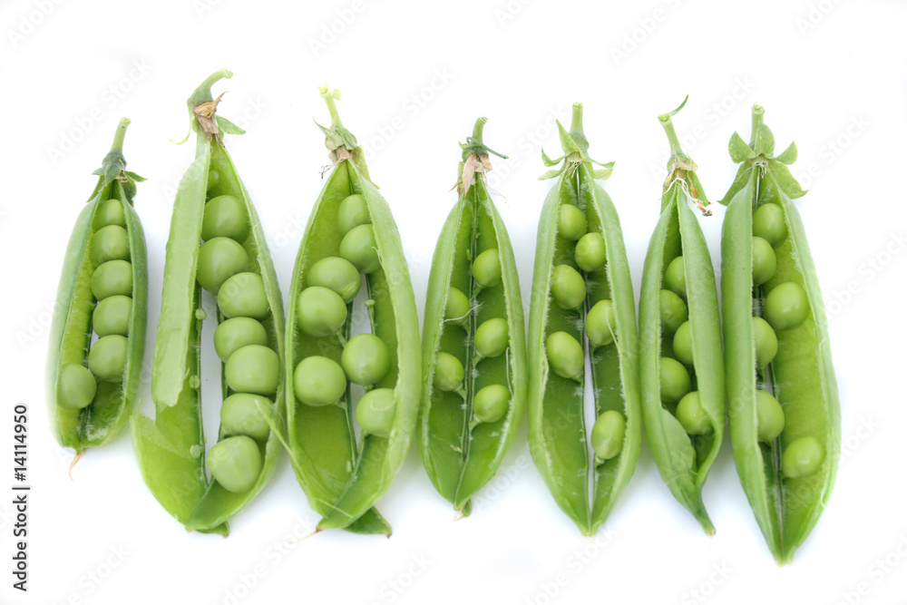 pea pea