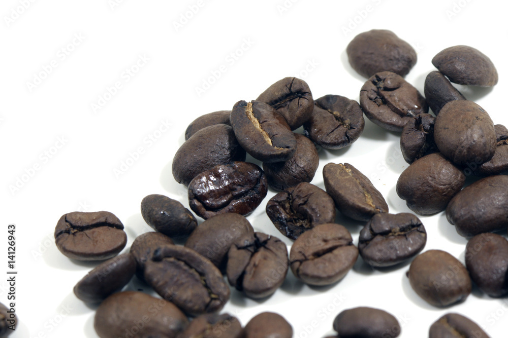 Obraz premium coffee bean isolated on white