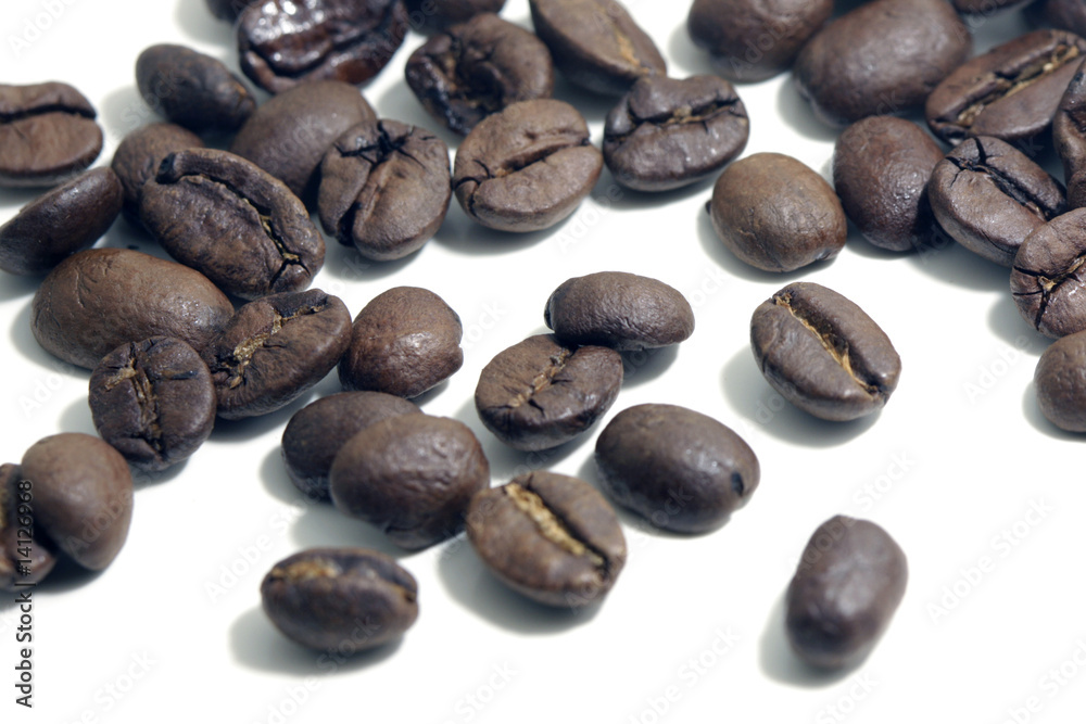 coffee bean isolated on white coffee bean isolated on white