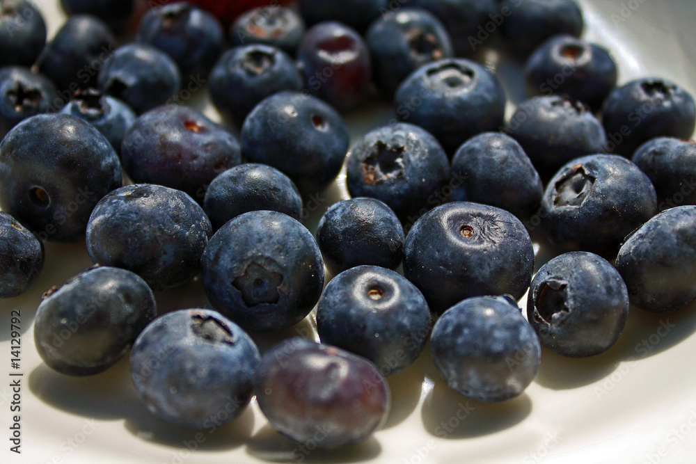 blueberries in the sun blueberries in the sun