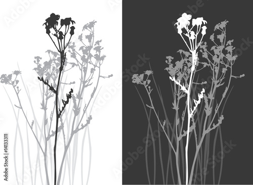 real grass silhouette - vector - two colors