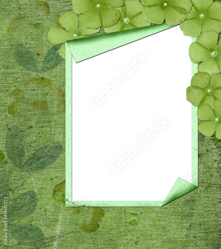 cadre photo vert anis