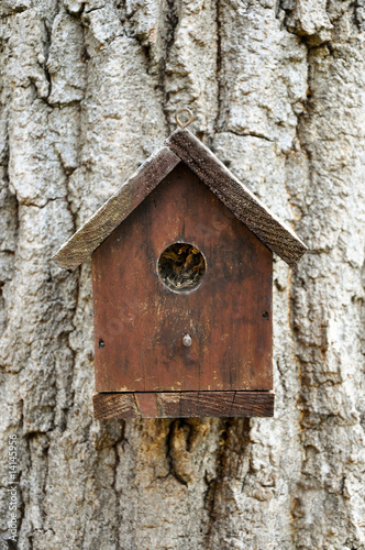 birdhouse on tree