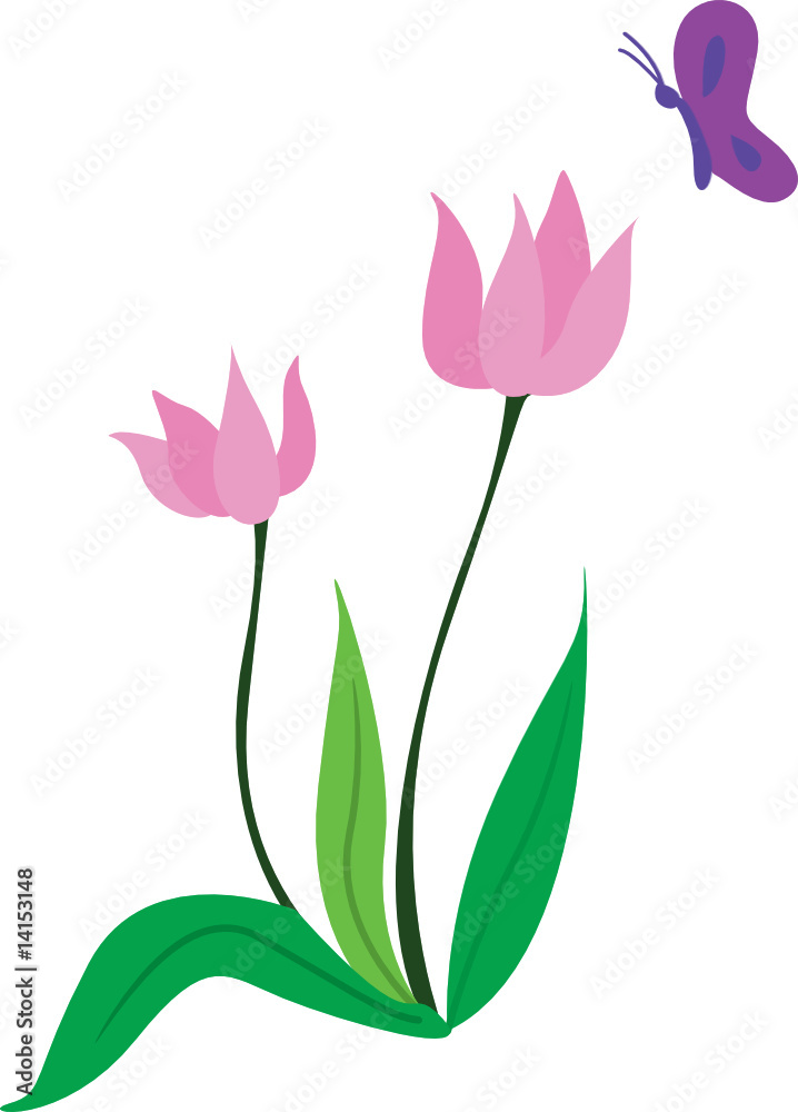 flowers flowers