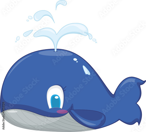 blue whale