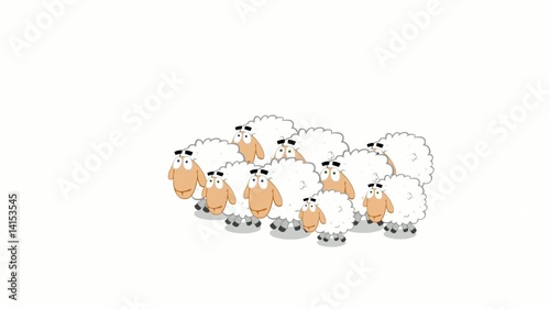 a flock of sheep