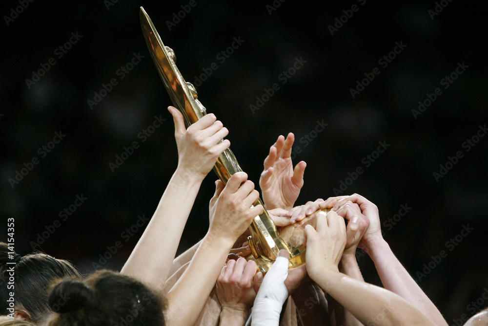 Obraz premium Basketball