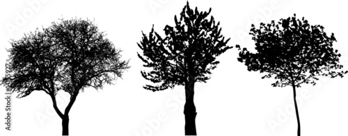 trees - vector set