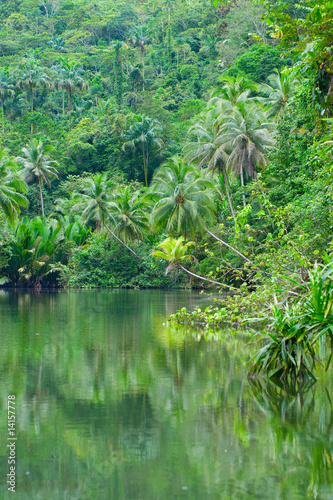 river in tropical rainforest