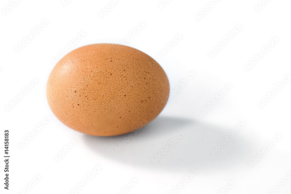 Single Brown Egg on White with Shadow Single Brown Egg on White with Shadow