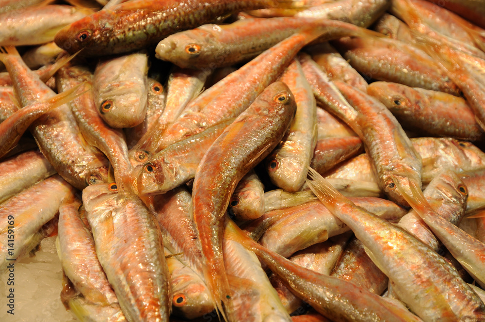 Fishes at market Fishes at market
