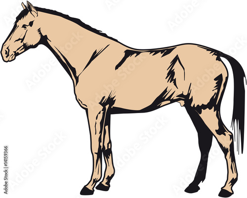 Pferd