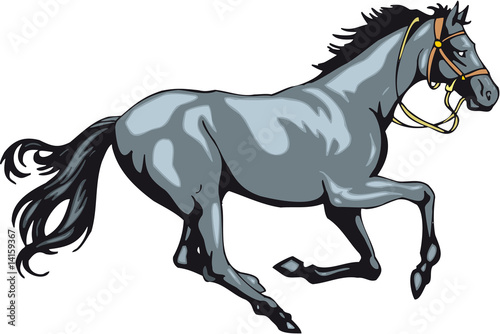 Pferd