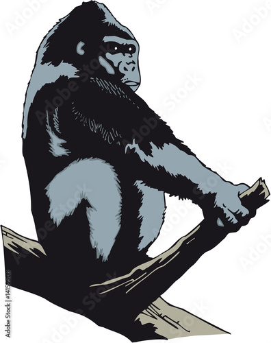 Gorilla