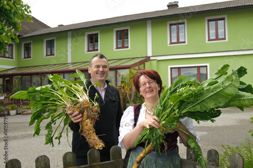 Ehepaar im Garten lacht über gute Meerrettichernte photo