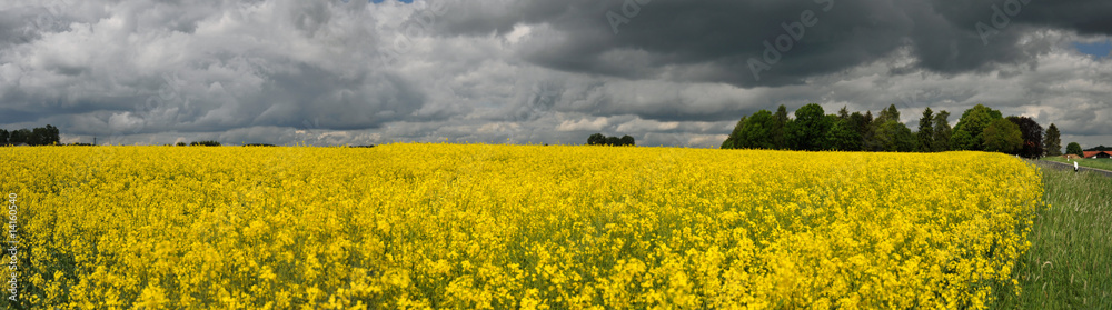 Raps-Panorama Raps-Panorama