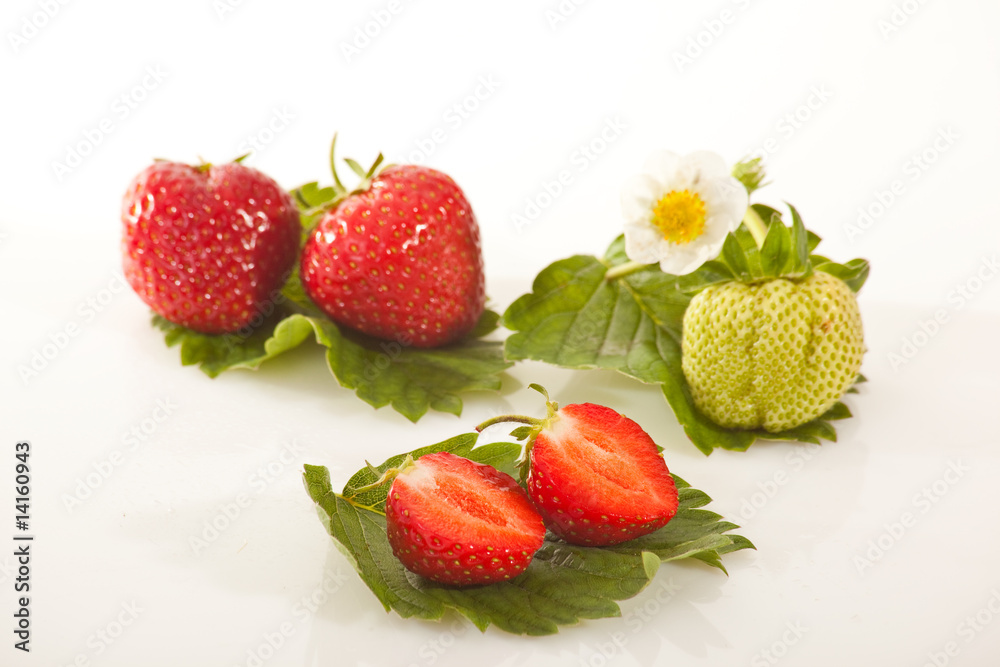 Erdbeeren Erdbeeren