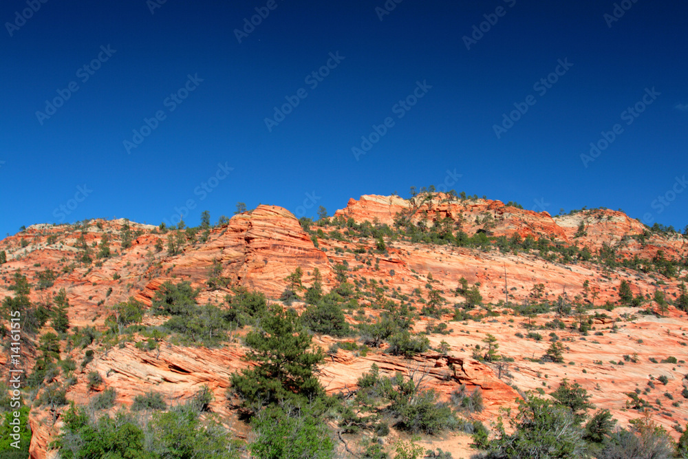 Zion National Park, USA.. Zion National Park, USA..