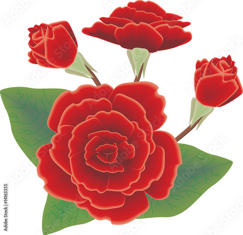 Red Rose Flower
