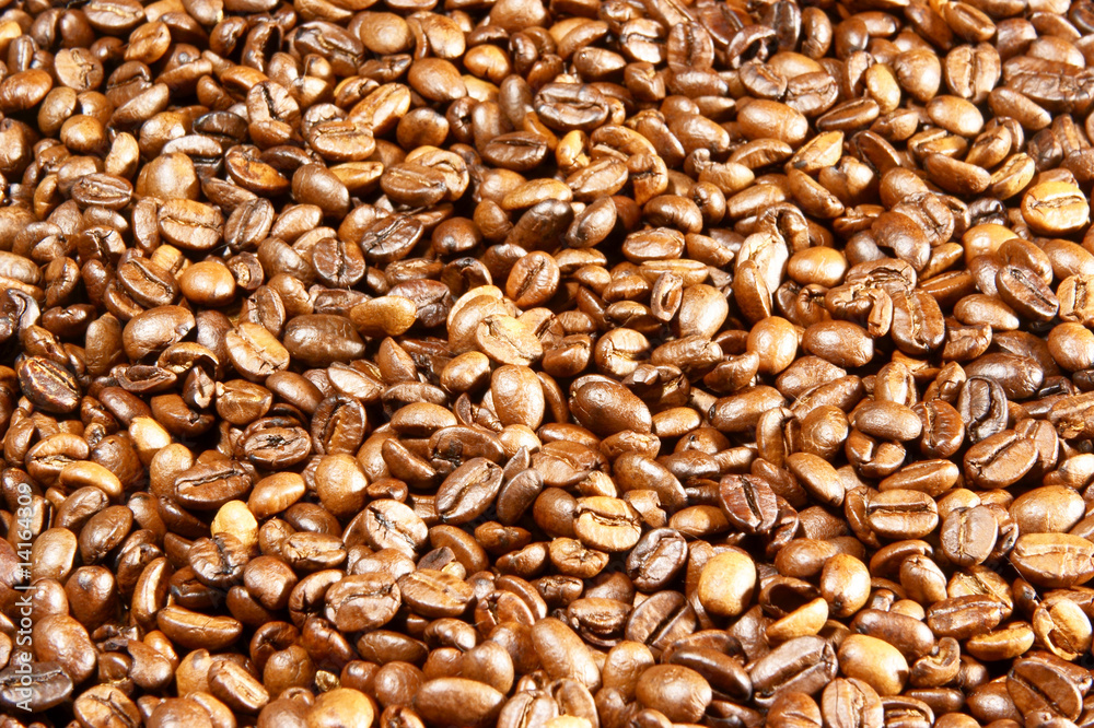 Close up of the aromatic coffee beans Close up of the aromatic coffee beans