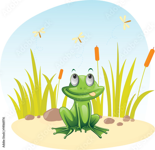 frog