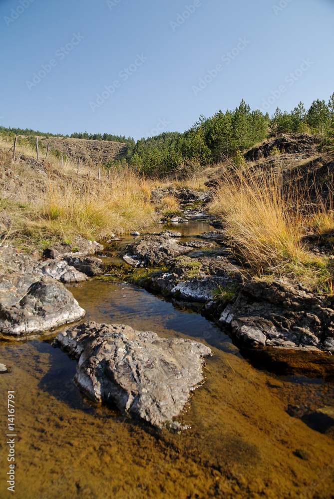 A stream in autumn A stream in autumn