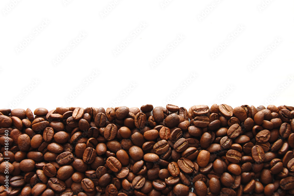 coffee beans on white background coffee beans on white background
