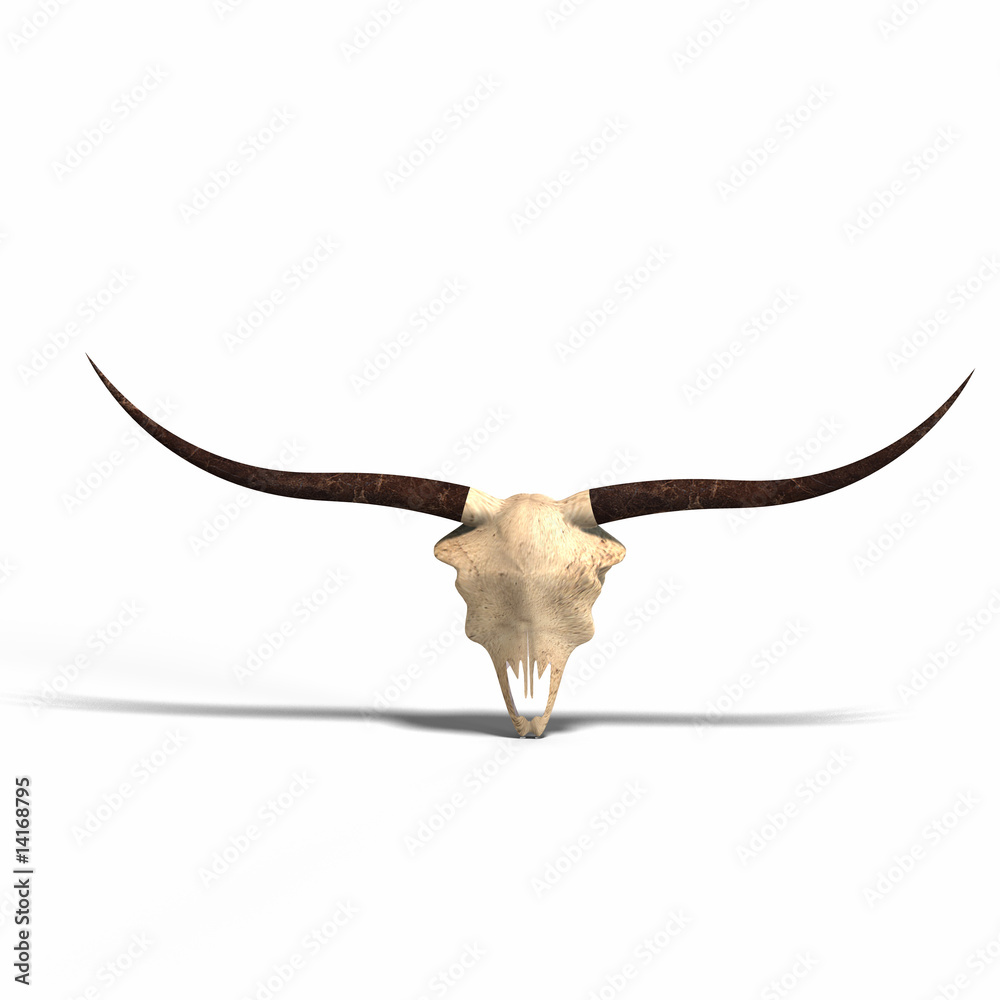 Obraz premium skull of a dead animal
