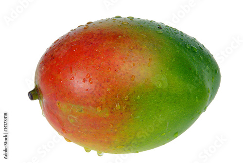 Mango 05
