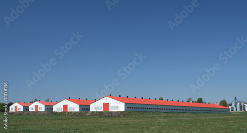 Poultry farm
