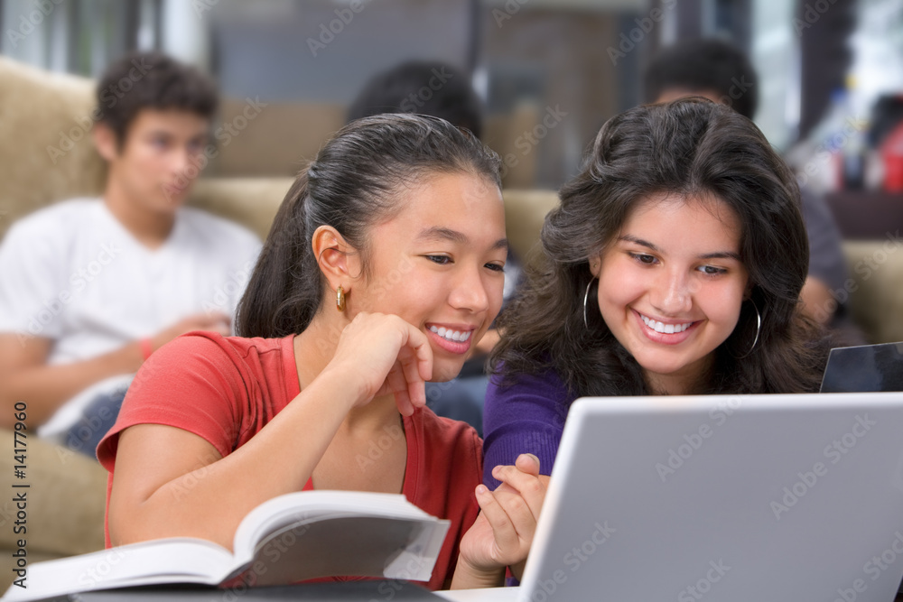 Female student discussing something on laptop Female student discussing something on laptop