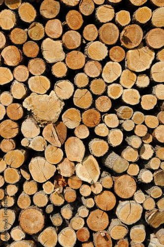 Natur - Holz