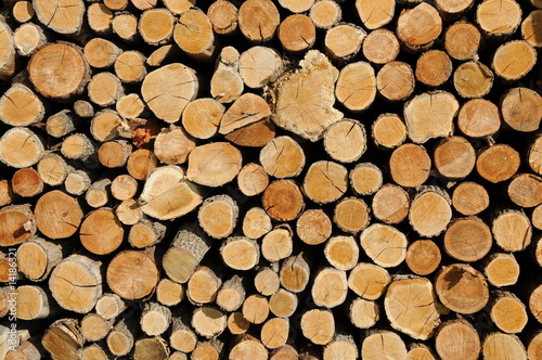 Natur - Holz