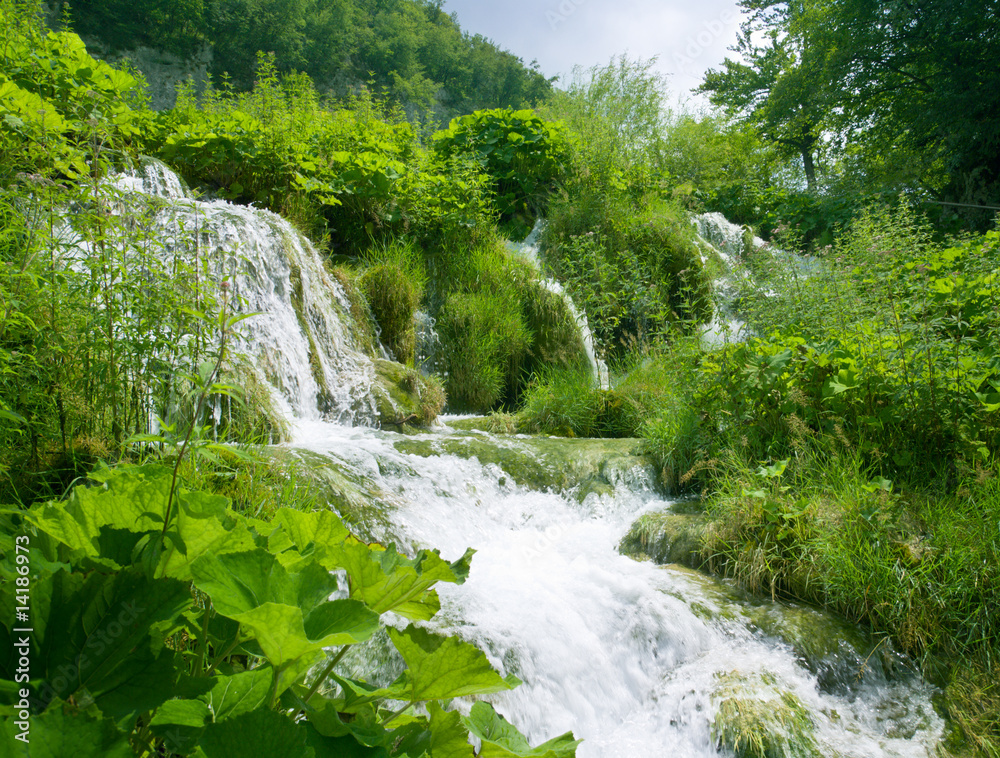 Obraz premium waterfall in deep forest