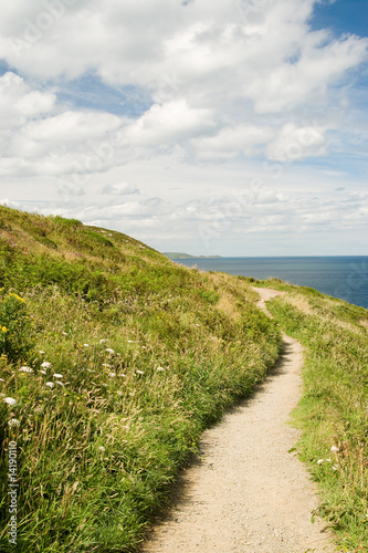 Klippenwanderweg in Howht  Irland